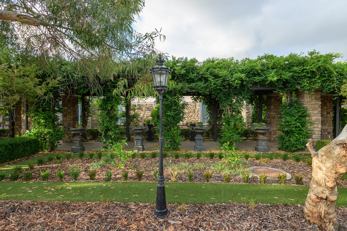 Banfields - Entrance Walkway
